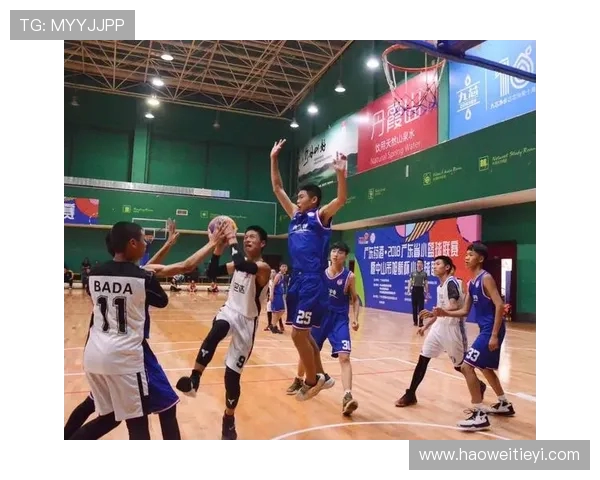 深圳篮球队灵活性分析及其在联赛中的表现对比研究 深圳篮球队灵活性分析及其在联赛中的表现对比研究