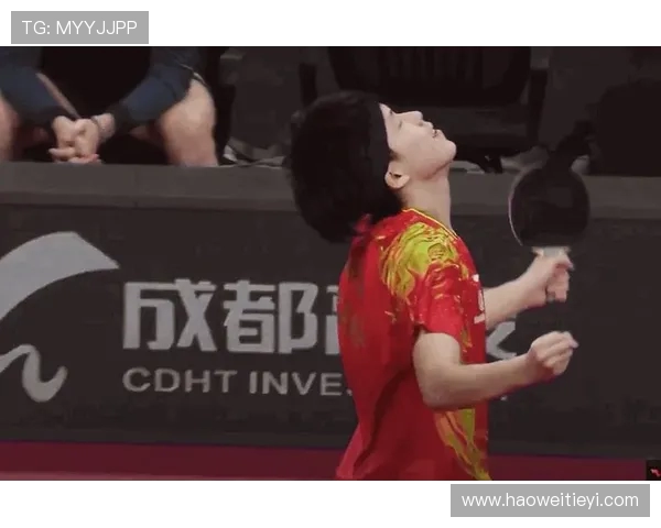 深圳羽毛球队的蜕变之路洲际杯特别报道展现新风貌与挑战 深圳羽毛球队的蜕变之路洲际杯特别报道展现新风貌与挑战