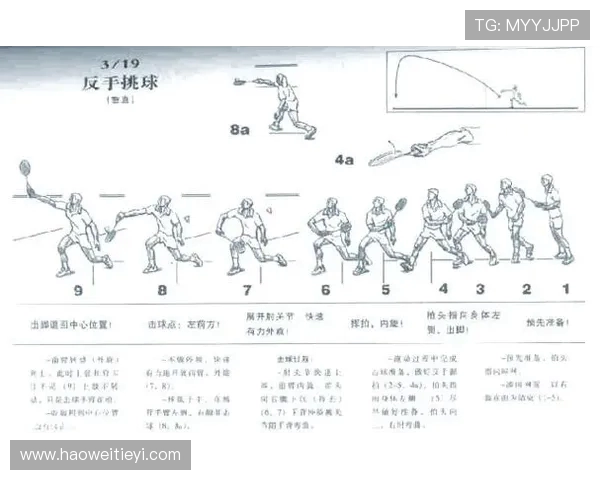 羽毛球的魅力与挑战:深入分析杭州羽毛球队的个人技能与战术策略 羽毛球的魅力与挑战:深入分析杭州羽毛球队的个人技能与战术策略