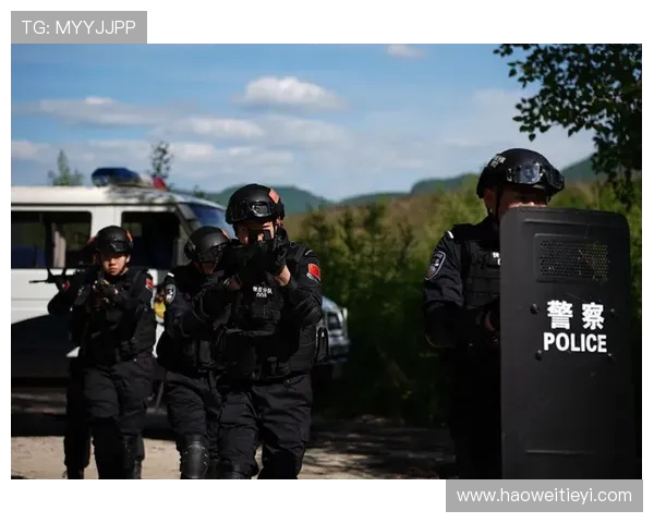 重庆乒乓球队防反战术解析与热点动态全面解读