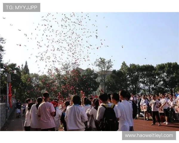 张兆旭的篮球之路：从青涩少年到职业明星的成长历程与奋斗故事