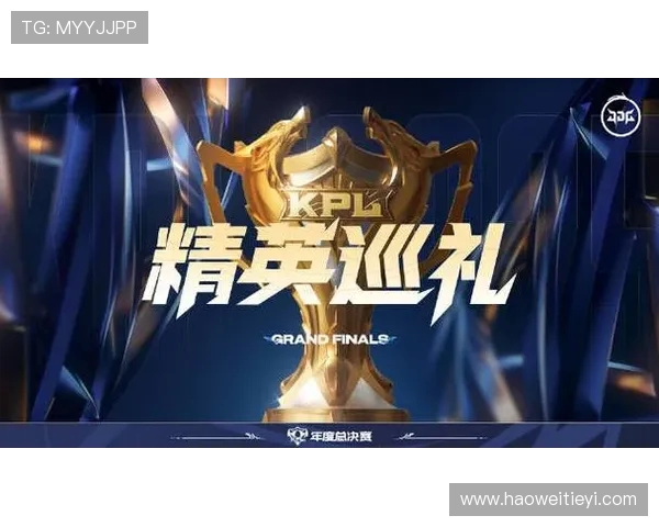 聚焦王者荣耀：探讨JDG战队背后的实力与团队精神