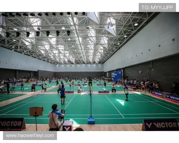 西安羽毛球队进攻策略分析与比赛表现评估探讨