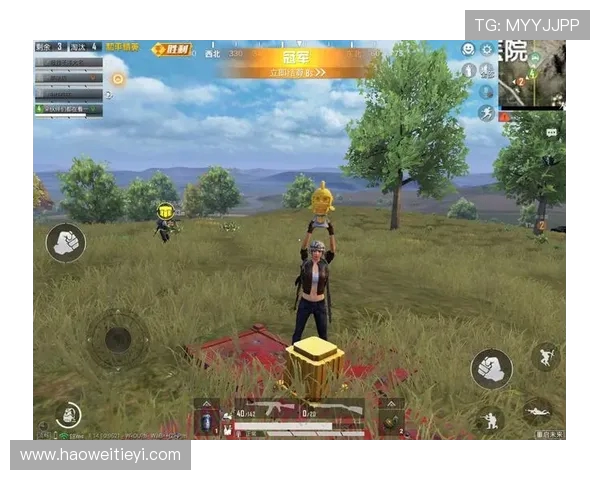 和平精英战术分析：深入探讨WE战队的区域防守策略与应对技巧