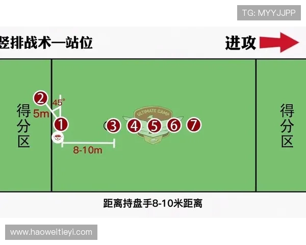 深入分析杭州飞盘队区域防守战术的独特魅力与实战应用